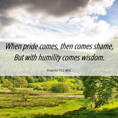 Picture 06 - Proverbs 11:2 WEB - When pride comes, then comes shame, But with - Bible Verse Picture