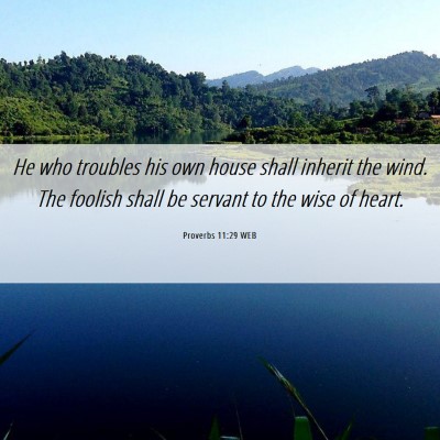 Picture 06 - Proverbs 11:29 WEB - He who troubles his own house shall inherit the - Bible Verse Picture