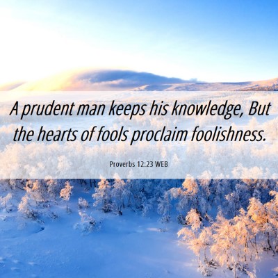 Picture 06 - Proverbs 12:23 WEB - A prudent man keeps his knowledge, But the hearts - Bible Verse Picture