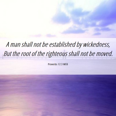 Picture 06 - Proverbs 12:3 WEB - A man shall not be established by wickedness, But - Bible Verse Picture