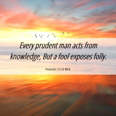 Picture 06 - Proverbs 13:16 WEB - Every prudent man acts from knowledge, But a fool - Bible Verse Picture