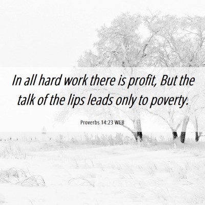 Picture 06 - Proverbs 14:23 WEB - In all hard work there is profit, But the talk of - Bible Verse Picture