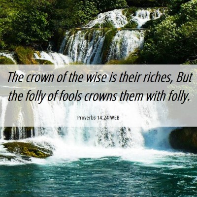 Picture 06 - Proverbs 14:24 WEB - The crown of the wise is their riches, But the - Bible Verse Picture