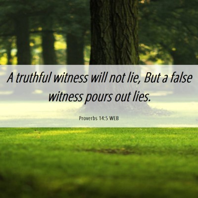 Picture 06 - Proverbs 14:5 WEB - A truthful witness will not lie, But a false - Bible Verse Picture