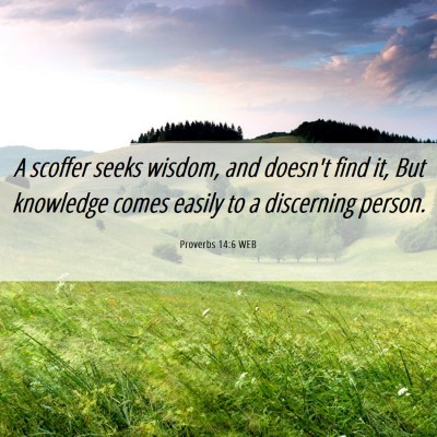 Picture 06 - Proverbs 14:6 WEB - A scoffer seeks wisdom, and doesn't find it, But - Bible Verse Picture