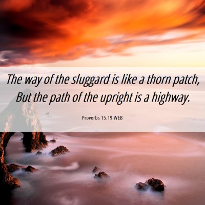 Picture 06 - Proverbs 15:19 WEB - The way of the sluggard is like a thorn patch, - Bible Verse Picture