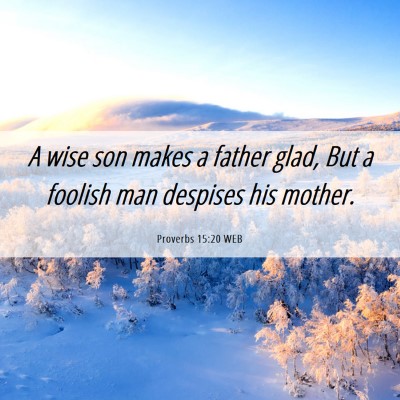 Picture 06 - Proverbs 15:20 WEB - A wise son makes a father glad, But a foolish man - Bible Verse Picture