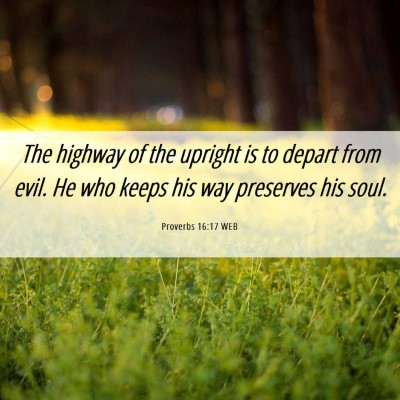 Picture 06 - Proverbs 16:17 WEB - The highway of the upright is to depart from - Bible Verse Picture