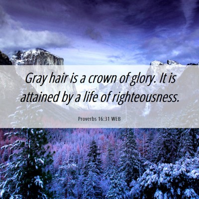 Picture 06 - Proverbs 16:31 WEB - Gray hair is a crown of glory. It is attained by - Bible Verse Picture