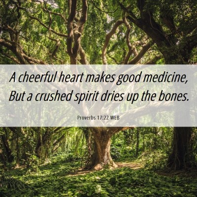 Picture 06 - Proverbs 17:22 WEB - A cheerful heart makes good medicine, But a - Bible Verse Picture