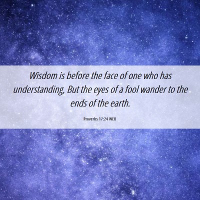 Picture 06 - Proverbs 17:24 WEB - Wisdom is before the face of one who has - Bible Verse Picture