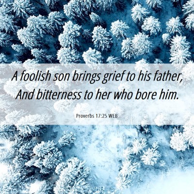 Picture 06 - Proverbs 17:25 WEB - A foolish son brings grief to his father, And - Bible Verse Picture