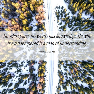 Picture 06 - Proverbs 17:27 WEB - He who spares his words has knowledge. He who is - Bible Verse Picture