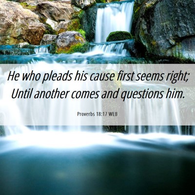 Picture 06 - Proverbs 18:17 WEB - He who pleads his cause first seems right; Until - Bible Verse Picture