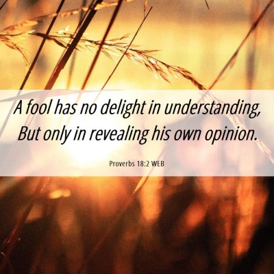 Picture 06 - Proverbs 18:2 WEB - A fool has no delight in understanding, But only - Bible Verse Picture