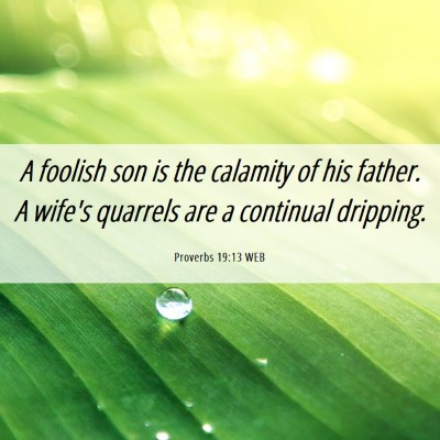 Picture 06 - Proverbs 19:13 WEB - A foolish son is the calamity of his father. A - Bible Verse Picture