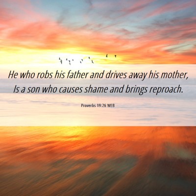 Picture 06 - Proverbs 19:26 WEB - He who robs his father and drives away his - Bible Verse Picture