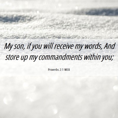 Picture 06 - Proverbs 2:1 WEB - My son, if you will receive my words, And store - Bible Verse Picture