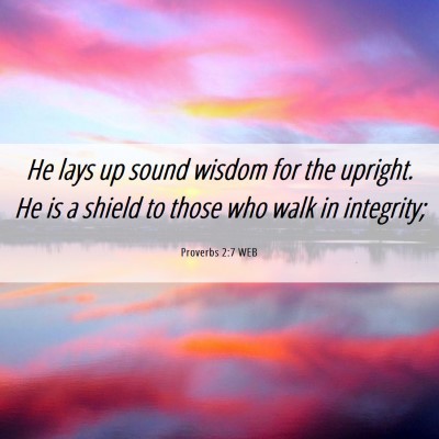 Picture 06 - Proverbs 2:7 WEB - He lays up sound wisdom for the upright. He is a - Bible Verse Picture