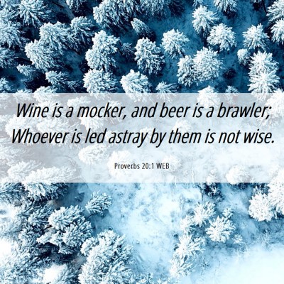 Picture 06 - Proverbs 20:1 WEB - Wine is a mocker, and beer is a brawler; Whoever - Bible Verse Picture