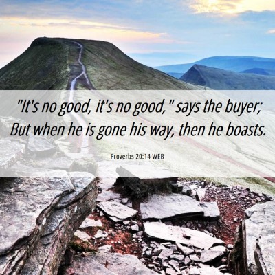 Picture 06 - Proverbs 20:14 WEB - 