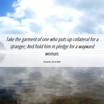 Picture 06 - Proverbs 20:16 WEB - Take the garment of one who puts up collateral - Bible Verse Picture