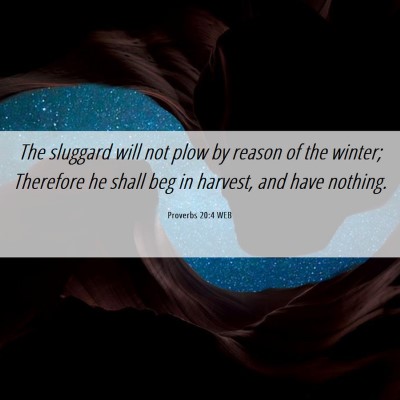 Picture 06 - Proverbs 20:4 WEB - The sluggard will not plow by reason of the - Bible Verse Picture