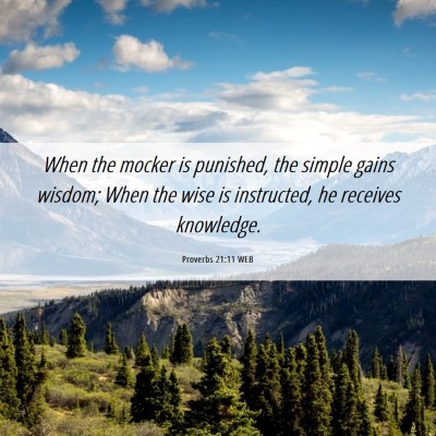 Picture 06 - Proverbs 21:11 WEB - When the mocker is punished, the simple gains - Bible Verse Picture