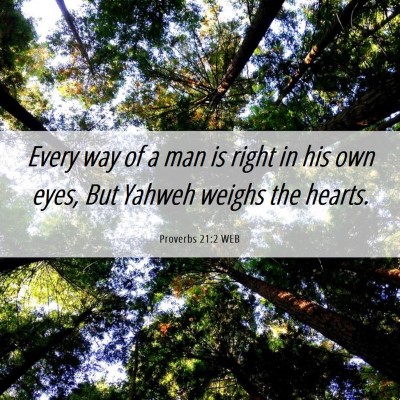 Picture 06 - Proverbs 21:2 WEB - Every way of a man is right in his own eyes, But - Bible Verse Picture