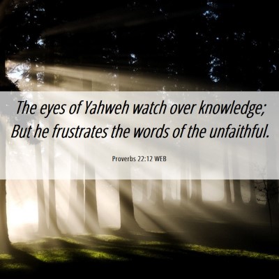 Picture 06 - Proverbs 22:12 WEB - The eyes of Yahweh watch over knowledge; But he - Bible Verse Picture