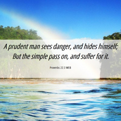 Picture 06 - Proverbs 22:3 WEB - A prudent man sees danger, and hides himself; But - Bible Verse Picture