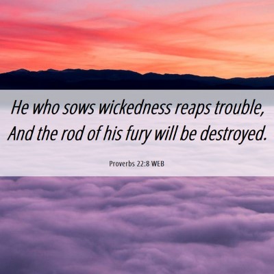 Picture 06 - Proverbs 22:8 WEB - He who sows wickedness reaps trouble, And the rod - Bible Verse Picture