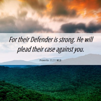 Picture 06 - Proverbs 23:11 WEB - For their Defender is strong. He will plead their - Bible Verse Picture