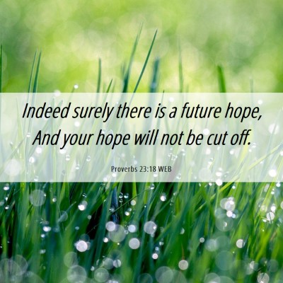 Picture 06 - Proverbs 23:18 WEB - Indeed surely there is a future hope, And your - Bible Verse Picture