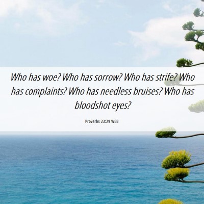 Picture 06 - Proverbs 23:29 WEB - Who has woe? Who has sorrow? Who has strife? Who - Bible Verse Picture