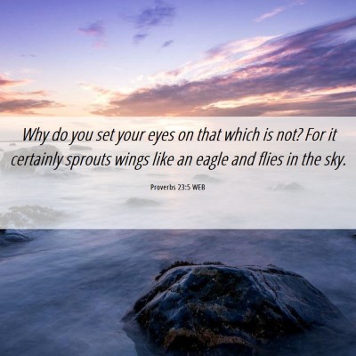 Picture 06 - Proverbs 23:5 WEB - Why do you set your eyes on that which is not? - Bible Verse Picture