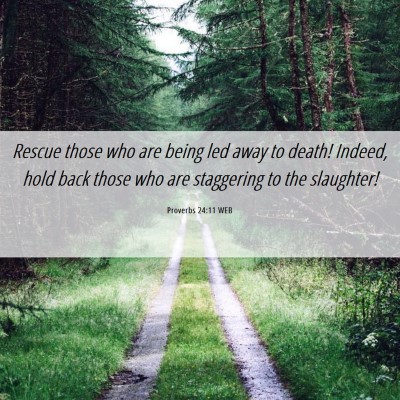 Picture 06 - Proverbs 24:11 WEB - Rescue those who are being led away to death! - Bible Verse Picture