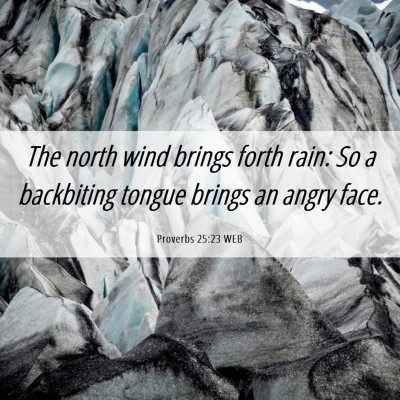Picture 06 - Proverbs 25:23 WEB - The north wind brings forth rain: So a backbiting - Bible Verse Picture