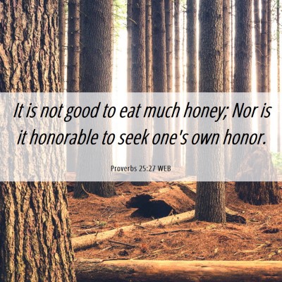 Picture 06 - Proverbs 25:27 WEB - It is not good to eat much honey; Nor is it - Bible Verse Picture