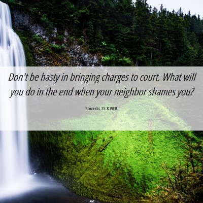 Picture 06 - Proverbs 25:8 WEB - Don't be hasty in bringing charges to court. What - Bible Verse Picture
