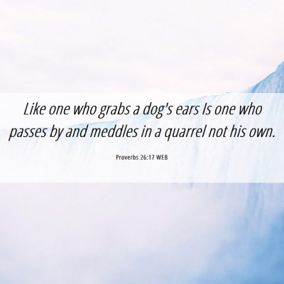Picture 06 - Proverbs 26:17 WEB - Like one who grabs a dog's ears Is one who passes - Bible Verse Picture