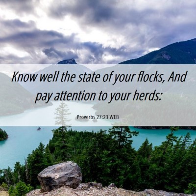 Picture 06 - Proverbs 27:23 WEB - Know well the state of your flocks, And pay - Bible Verse Picture
