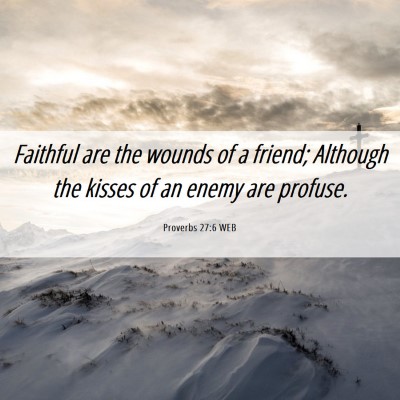Picture 06 - Proverbs 27:6 WEB - Faithful are the wounds of a friend; Although the - Bible Verse Picture