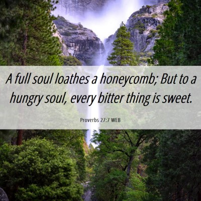 Picture 06 - Proverbs 27:7 WEB - A full soul loathes a honeycomb; But to a hungry - Bible Verse Picture