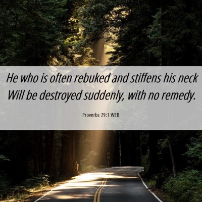 Picture 06 - Proverbs 29:1 WEB - He who is often rebuked and stiffens his neck - Bible Verse Picture