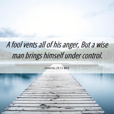 Picture 06 - Proverbs 29:11 WEB - A fool vents all of his anger, But a wise man - Bible Verse Picture