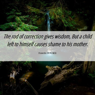 Picture 06 - Proverbs 29:15 WEB - The rod of correction gives wisdom, But a child - Bible Verse Picture