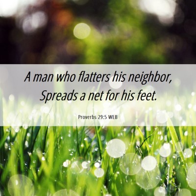 Picture 06 - Proverbs 29:5 WEB - A man who flatters his neighbor, Spreads a net - Bible Verse Picture