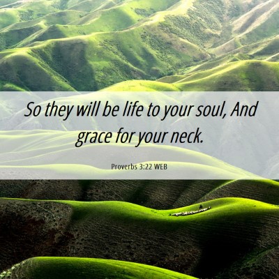 Picture 06 - Proverbs 3:22 WEB - So they will be life to your soul, And grace for - Bible Verse Picture