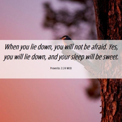 Picture 06 - Proverbs 3:24 WEB - When you lie down, you will not be afraid. Yes, - Bible Verse Picture